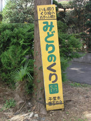黄色い看板