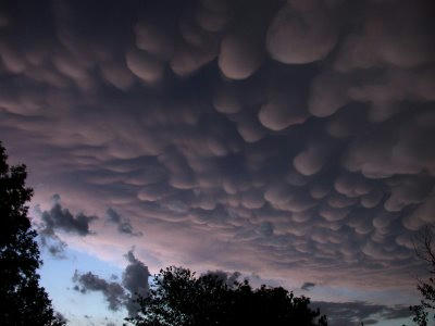 mammatus.jpg