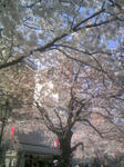 090403_142850.JPG