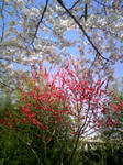 090403_144150.JPG