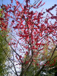 090403_144136.JPG