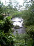 090506_124924.JPG
