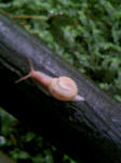 090506_130421.JPG
