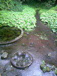 090506_131506.JPG