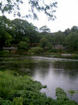 090506_131801.JPG