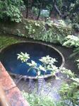 090506_125118.JPG