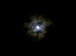 DCF_0049.JPG