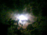 090708_003913.JPG