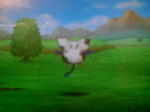 mo-mon.JPG
