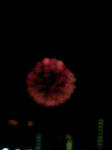 090725_201547.JPG