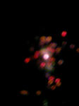 090725_195737.JPG