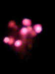 090725_200157.JPG