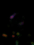 090725_200756.JPG