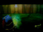 090726_175256.JPG