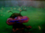 090728_200443.JPG
