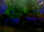 090802_014932.JPG