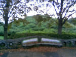 090812_175602.JPG