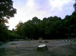 090812_175649.JPG