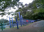 090812_180253.JPG