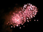 DCF_0056.JPG