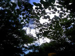DCF_0088-30.JPG