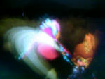 090915_161104.JPG