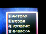 090929_022251.JPG