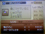091003_042558.JPG