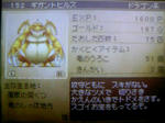 giganto-h.JPG