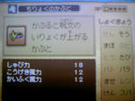 091007_043011.JPG
