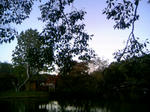 091011_170604.JPG