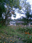 091012_170941.JPG
