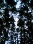 091012_171617.JPG