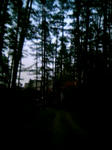 091012_171602.JPG