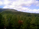 091012_124540.JPG