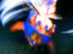 091104_055445.JPG