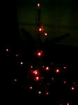 0912-tree.JPG