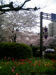 100403_114705.JPG