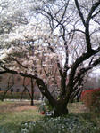100403_120737.JPG