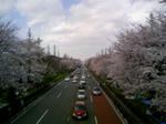 100403_124622.JPG