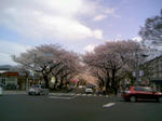 100403_125749.JPG