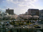 100403_145654.JPG