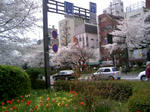 100403_114734.JPG