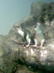 100425_121703.JPG