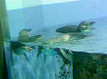 100425_121744.JPG