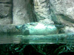 100425_122157.JPG