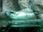 100425_122352.JPG