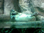 100425_122235.JPG