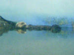 100425_123111.JPG