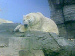 100425_123338.JPG